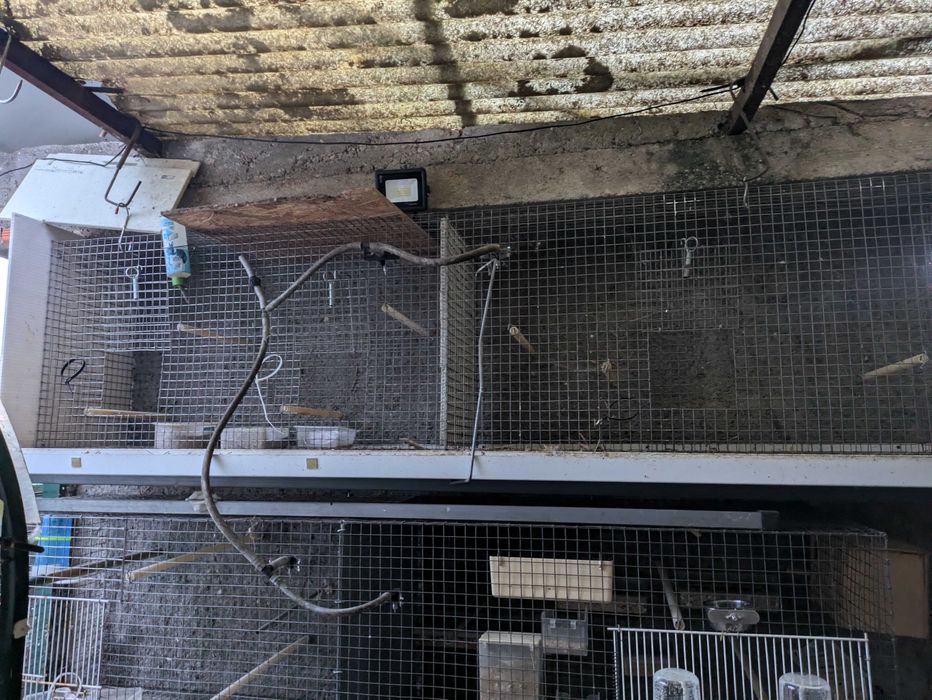 Gaiolas, Viveiros duplos, voadeiras