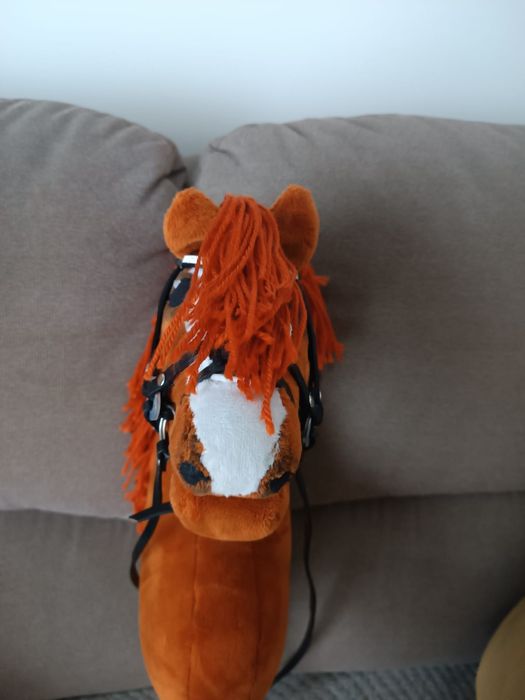 Hobby Horse, rudy A3