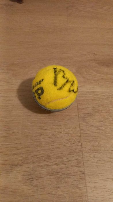 CONJUNTO - Roupa Desportiva SACOOR - Edição Limitada Estoril Open 2023