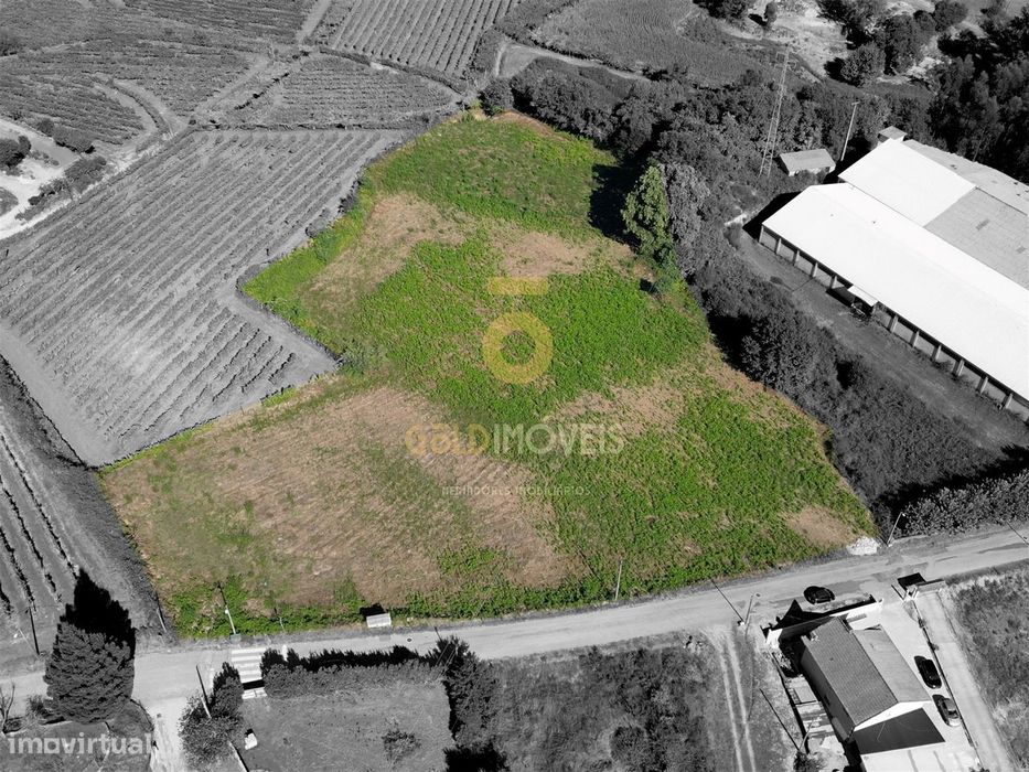 Terreno Para Construção  Venda em Figueiró (Santiago e Santa Cristina)
