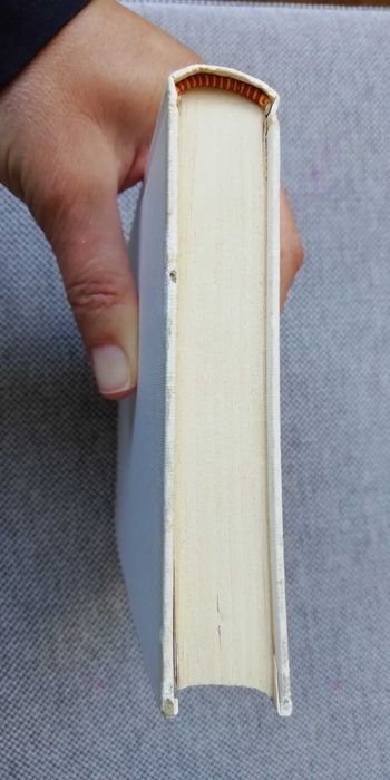 Livro Patrão Bento de Aleixo Ribeiro