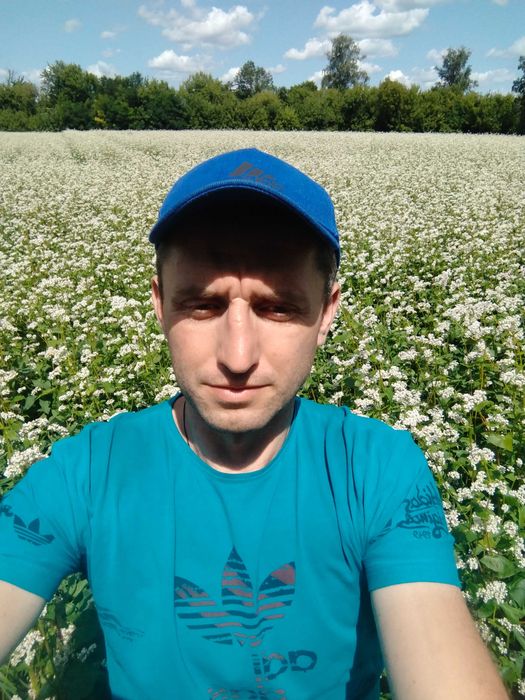 Зелена гречка (не смажена )