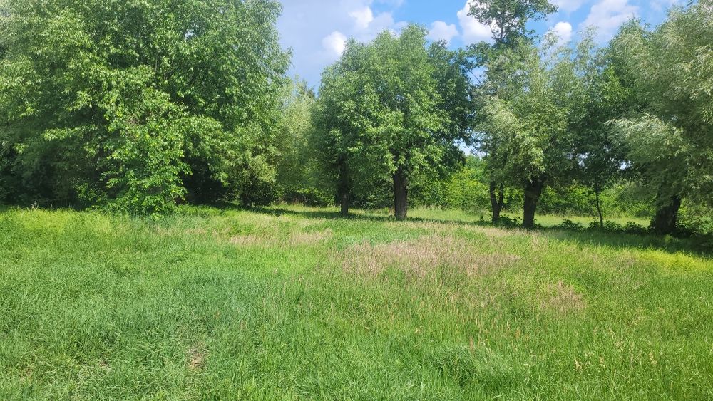 Sprzedam działki budowlane pod zabudowe zagrodową - Widok 4