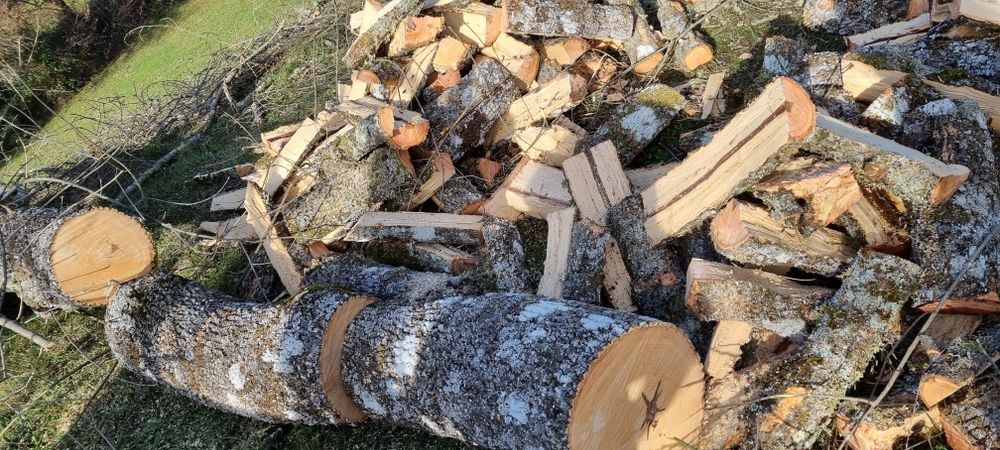 Lenha de carvalho carrasco pinho e castanho