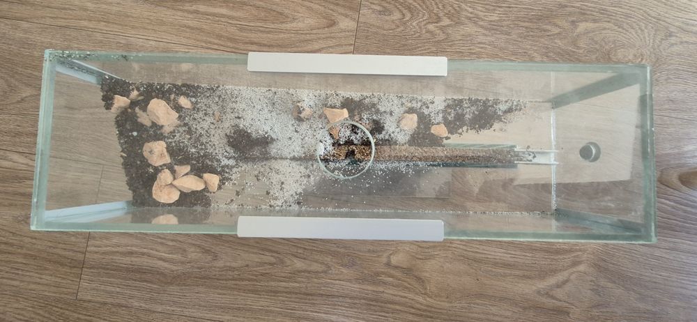 Formikarium arena terrarium