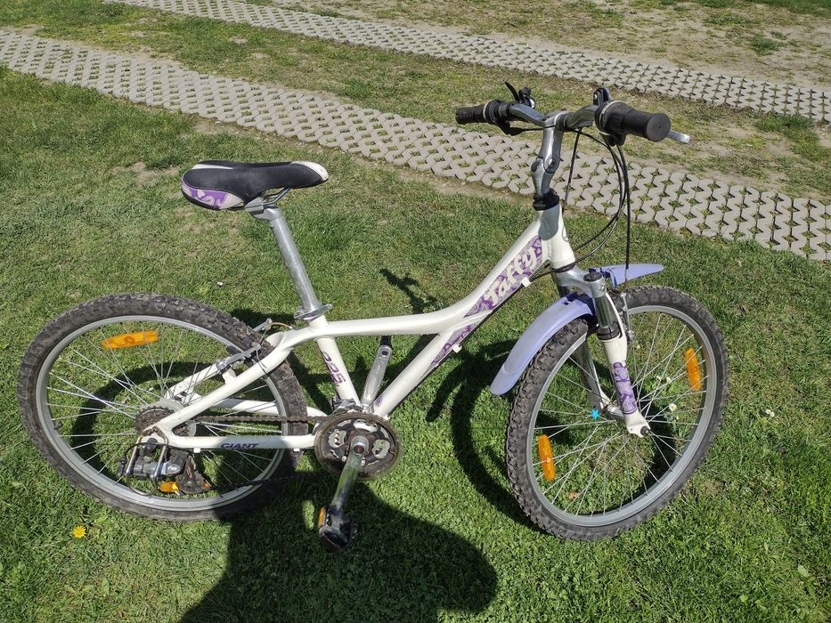 Giant taffy dla juniora.