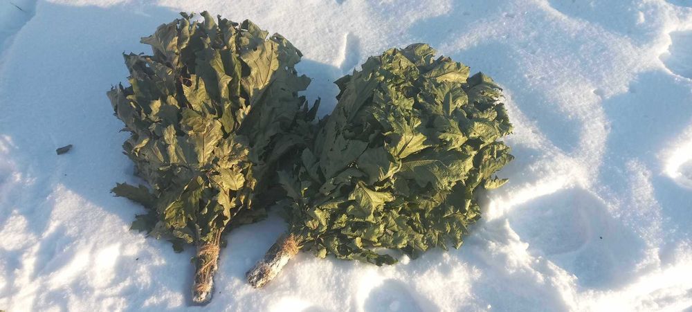 Віники, Дуб Береза звіробій, пижма, м'ята, Трави для бані  1Б.12/63см