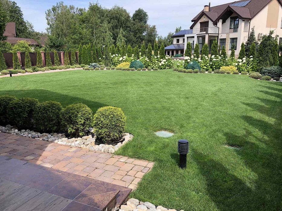 Посівний та рулоний газон