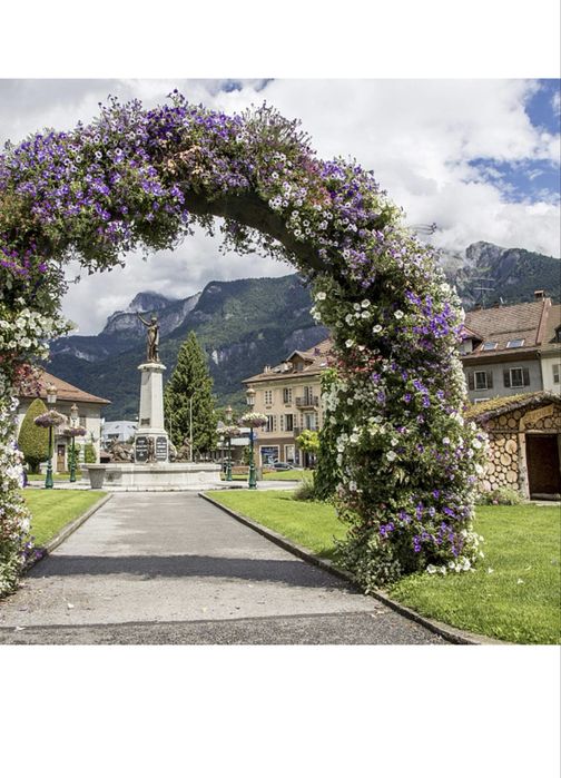 Luk rozany na kwiaty  skladany 240x140x38