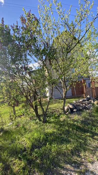 ЕкоЛокація 12 соток с. Копачів, м. Обухів 14 км