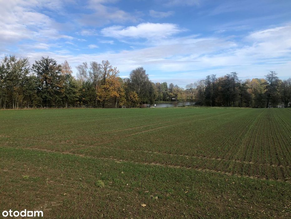 2 działki budowlane – Stara Wieś k. Wilamowic – 150 zł/m² - Widok 3