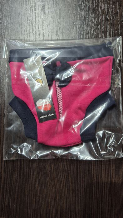 Majtki na cieczkę dla suni