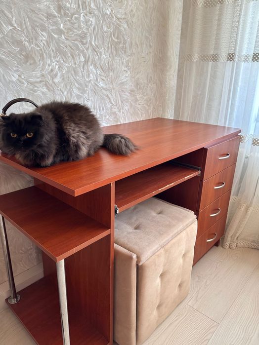 Столик письмовий, гарний стан та приємна ціна