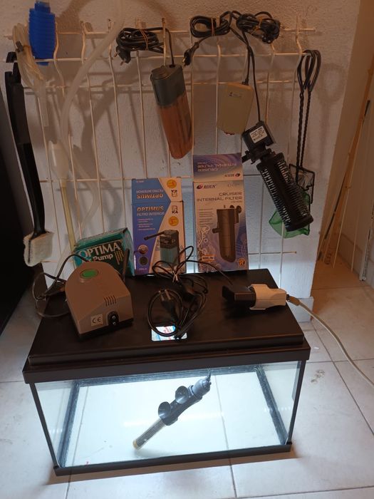 2 aquários com acessórios