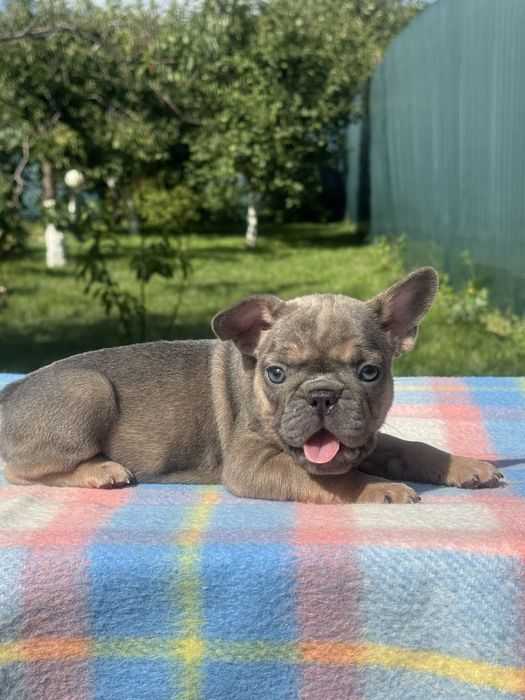 Маленьки непосиди чекають на люблячі родини