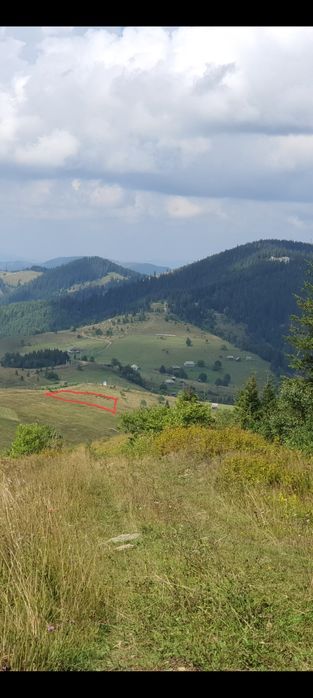 Продам земельну ділянку в Карпатах!