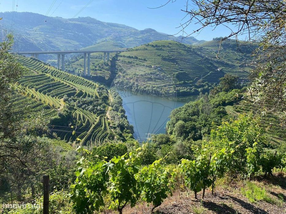 Terreno  para venda