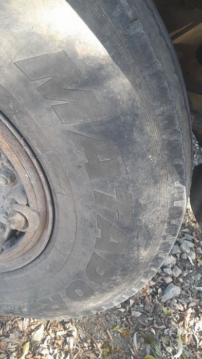 Шина колесо маз краз кермова 12.00 р 20