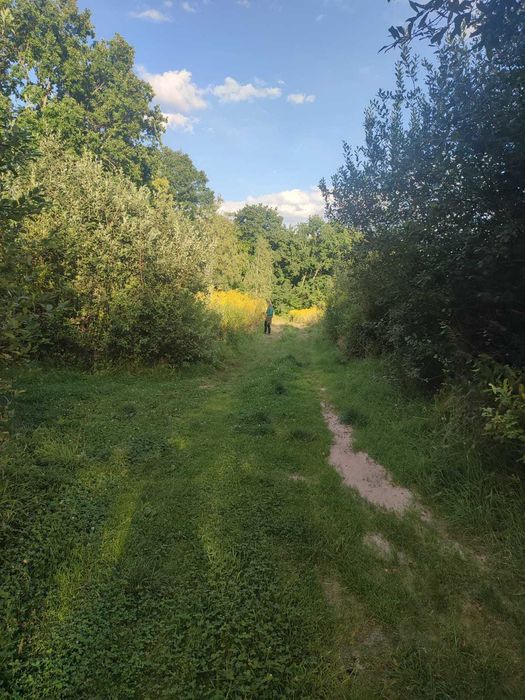 Leśny młyn pod Radunią 4,11 ha