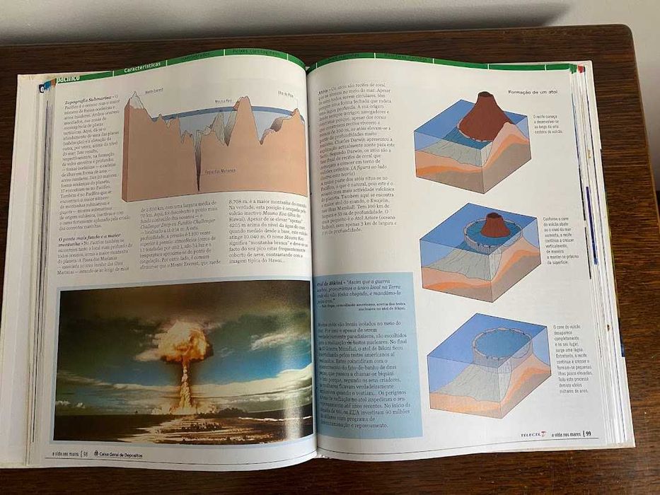 A Vida nos Mares – Uma visita guiada ao mundo submarino