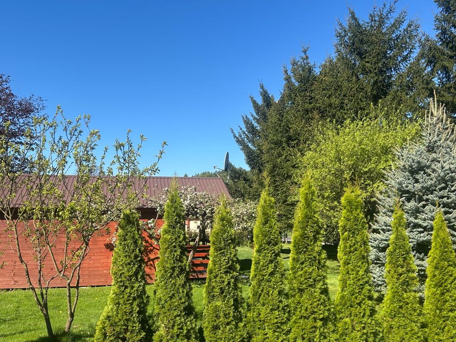 Domki letniskowe w Ogrodzie