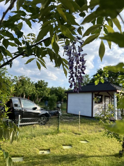 Działka ROD Leśne Oczko Nowy Kisielin