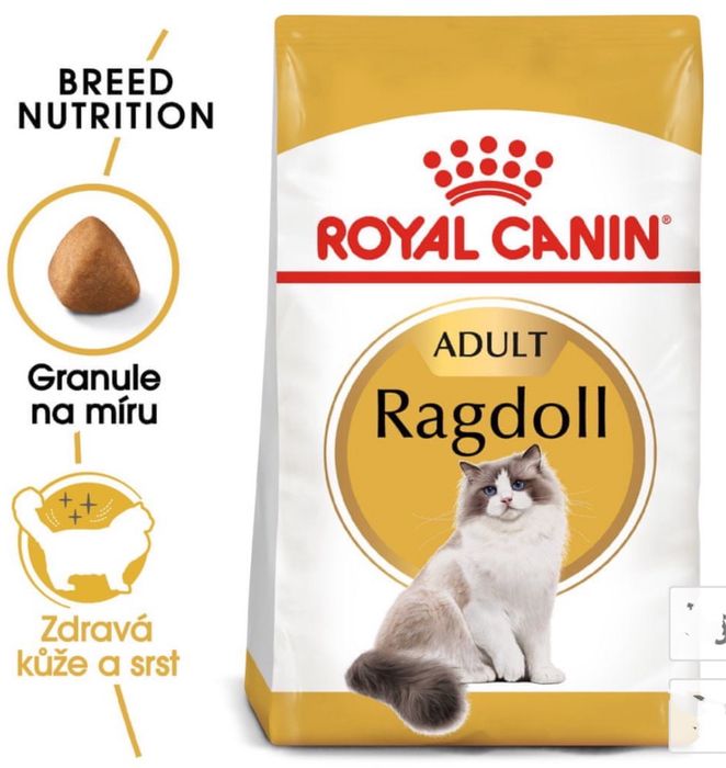 Sucha karma dla kota Royal Canin Ragdoll Adult 10 kg