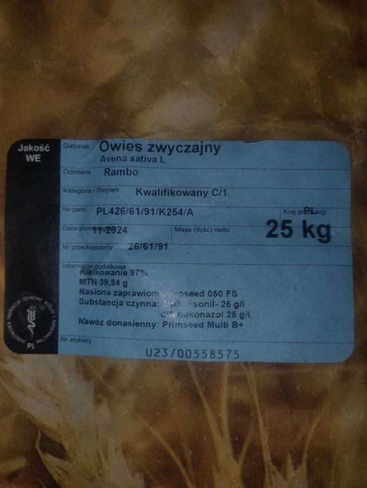 Owies Odmiana "Rambo" siany z kwalifikatu