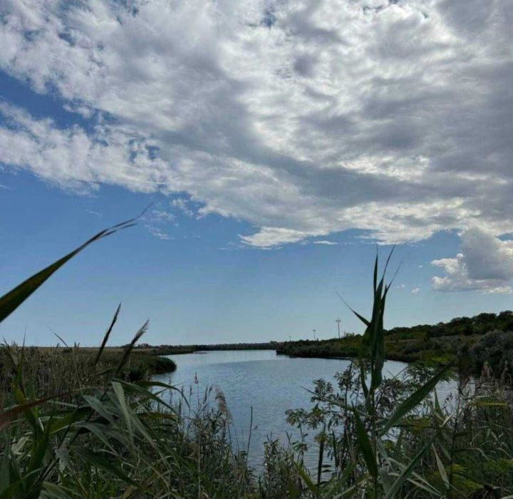 Будинок за адресою Люстдорфська дор. (площа 36 м²) - Atlanta.ua - фото 15