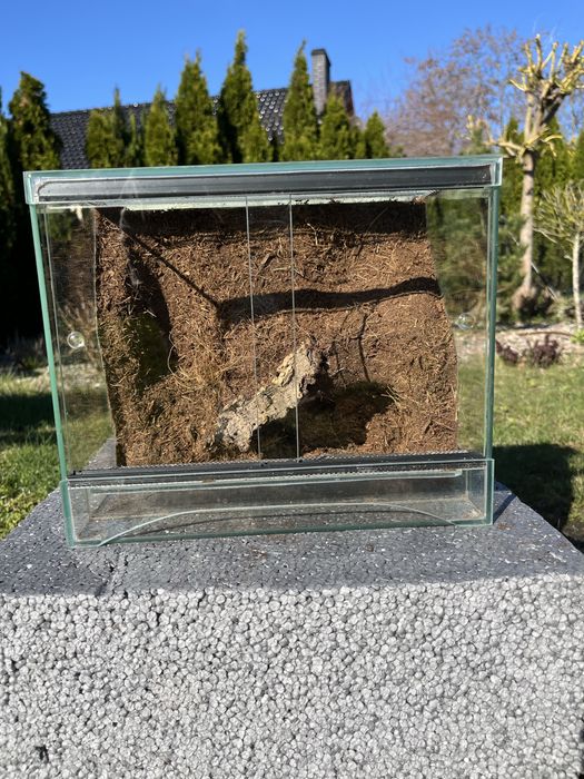 Terrarium z tłem strukturalnym