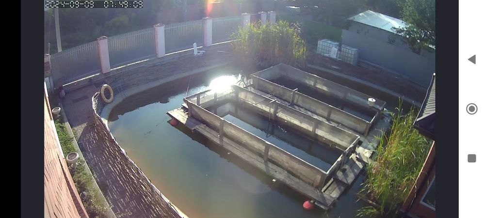 Форель від 1 грама і до 4 кілограмів