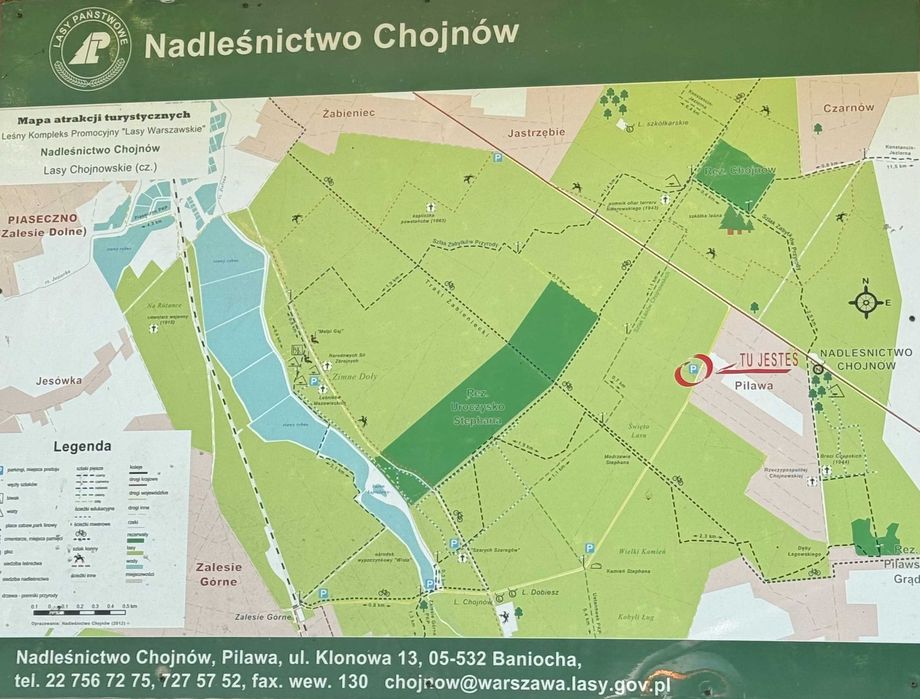 Sprzedam działki budowlane pod Warszawą (Chojnowski Park Krajobrazowy) - Widok 4