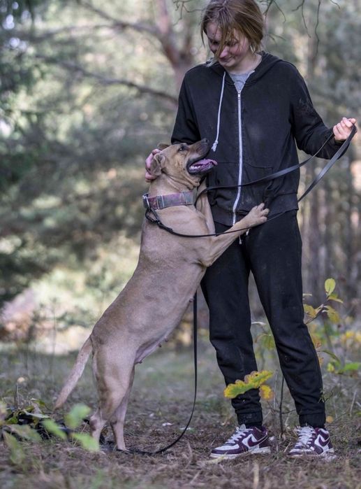 Rubi szuka swojego człowieka
