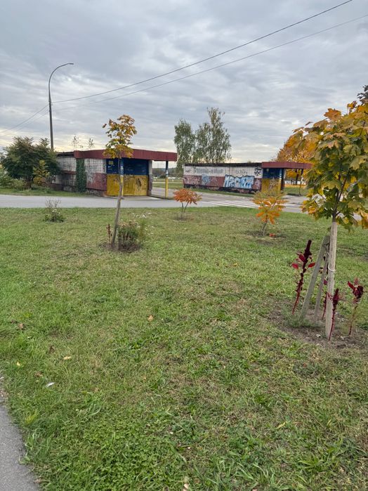 Продам земельну ділянку