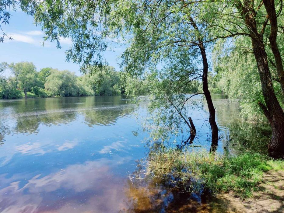 Продам дачу терміново Рожни кооператив Трудовик.