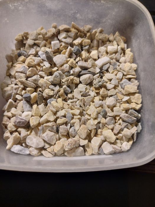 Продам ракушки и кораллы разные