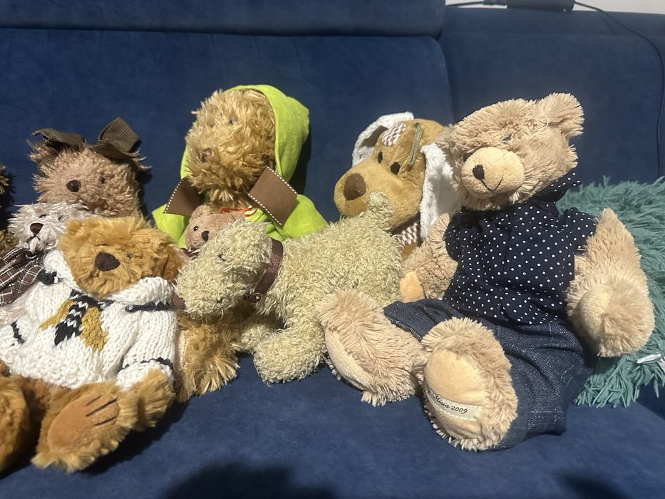 Kolekcja 20 misiów/pluszaków
