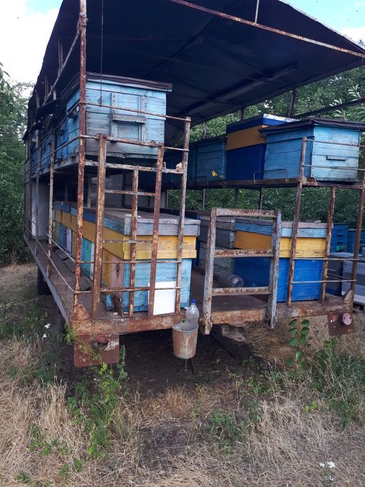 Павильен для пчел