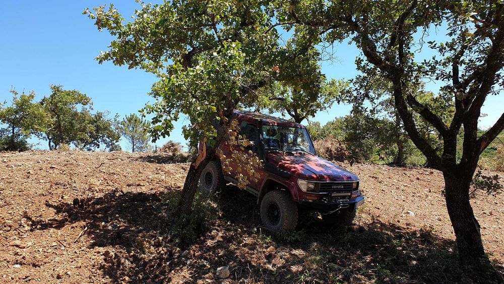 Toyota Land Cruiser VX3000 — photo 5
