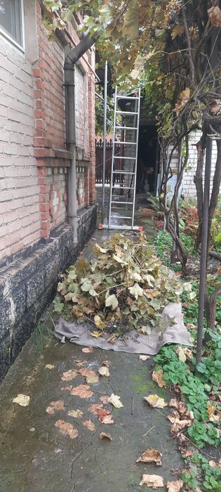 Робітник на дому або дачі.