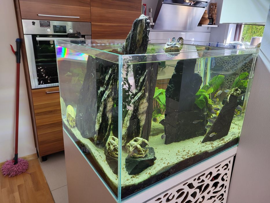 Akwarium otwarte OptiWhite 200l  60x75x45 Malawi pyszczaki Acei