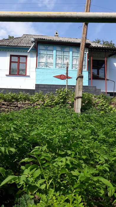 Продам 3-кімнатний будинок в селищі Криштофівка Могилів-Подільського району Вінницької області