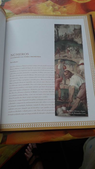 15 volumes da BÍBLIA SAGRADA