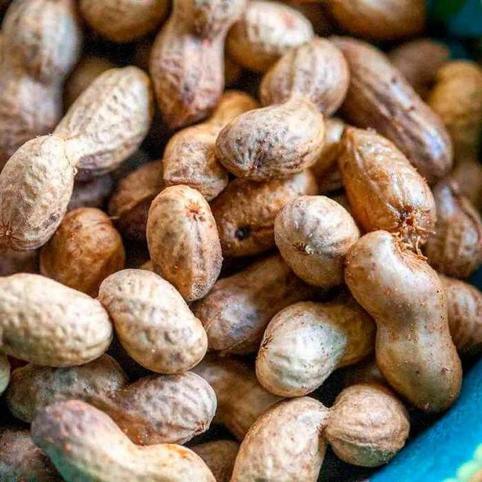 Насіння Арахіс Валенсія