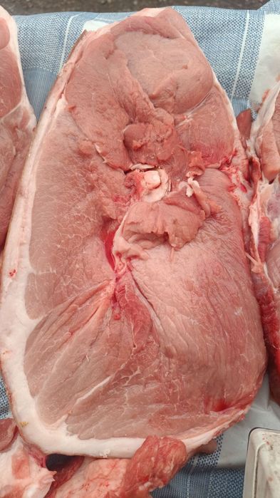 Продам м'ясо Домашній Свинини