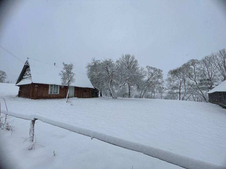 Продається деревяний будинок в с. Росохач