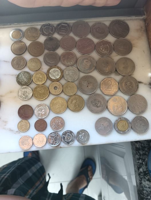 Moedas de escudos