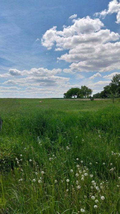 Продам земельну ділянку в с.Майдан 1844