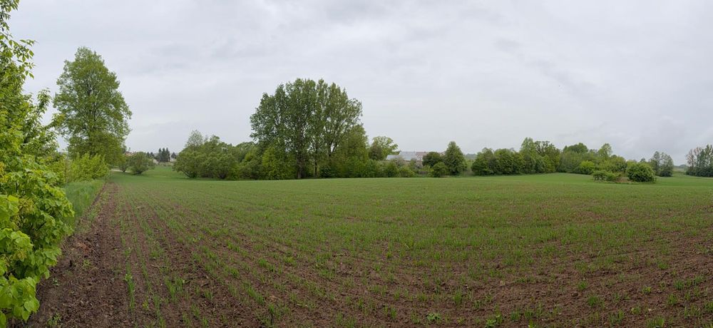 Działka z WZ na dom | 3001 m² | Bakaniuk koło Suwałk - Widok 3