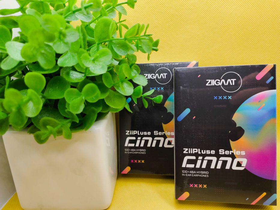 ‼️ ZiiGaat Cinno (black) - гибридные пятидрайверные наушники (1DD+4BA)